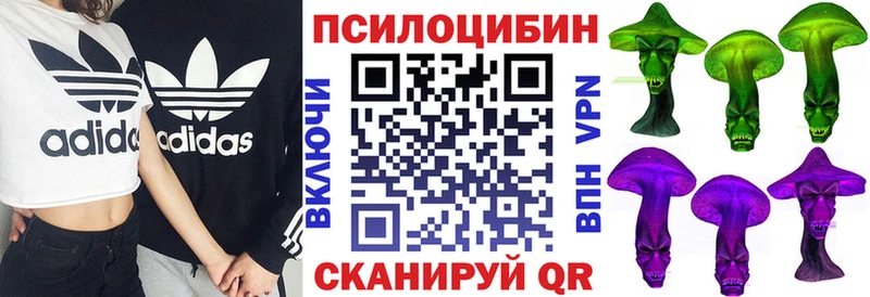 купить наркотик  Киселёвск  Псилоцибиновые грибы GOLDEN TEACHER 